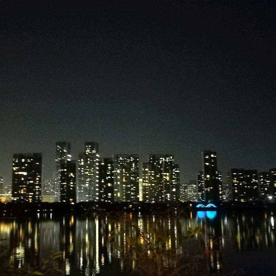城市志愿者