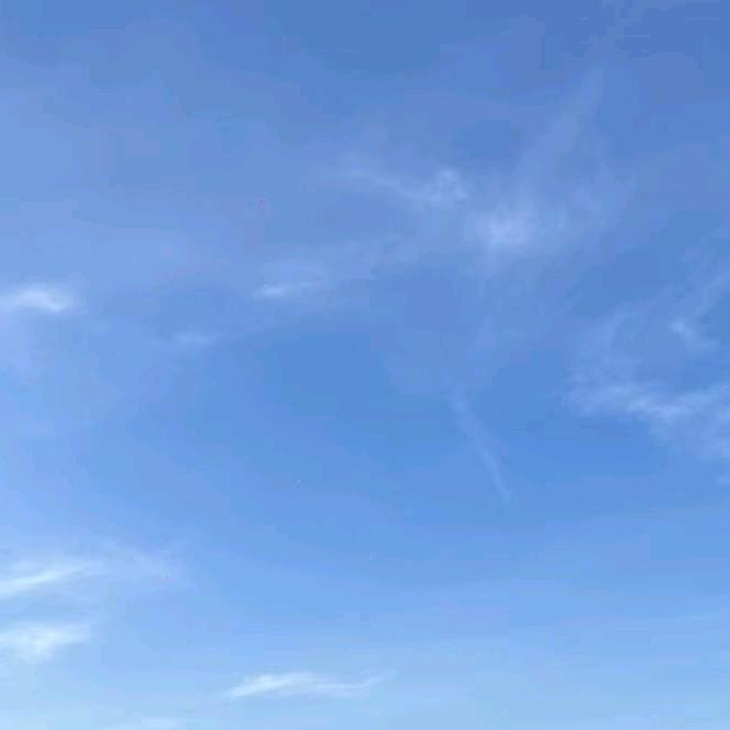 白条看虾仁