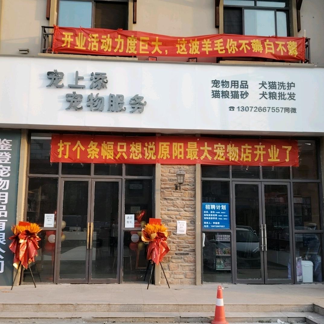 宠上添宠物服务