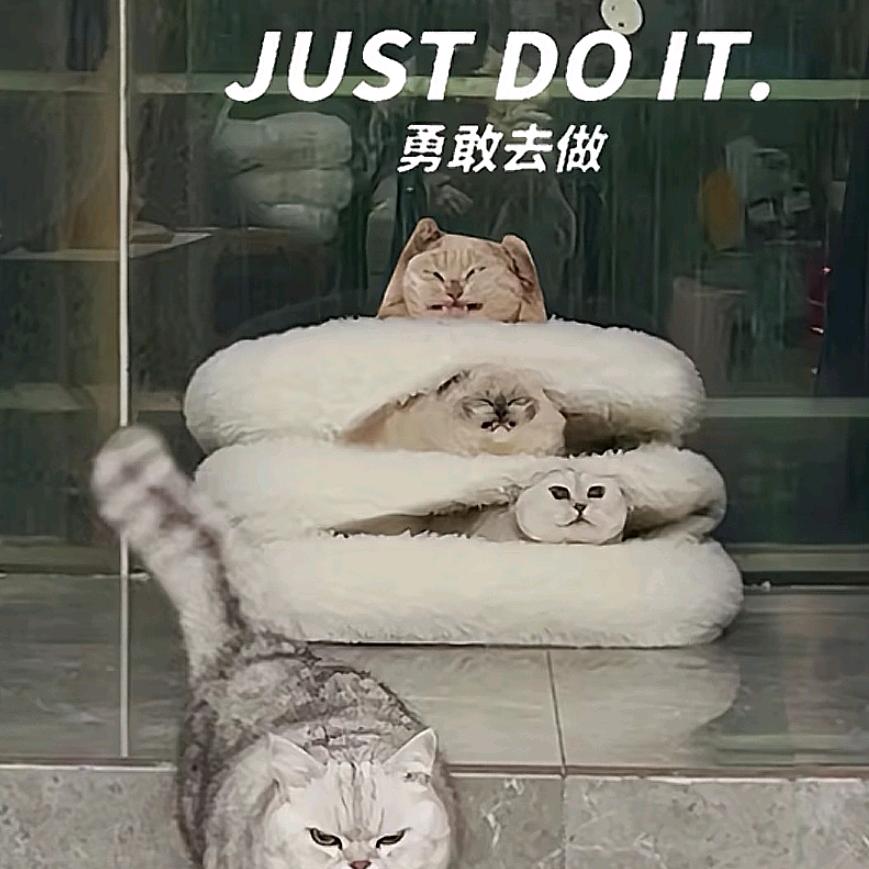 进入猫次元