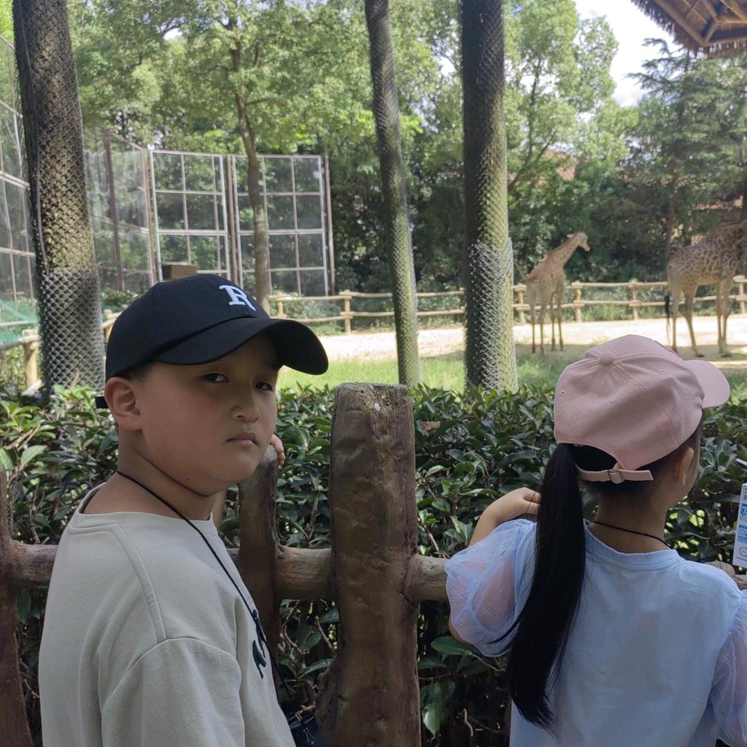 小龙哥 兄妹日常