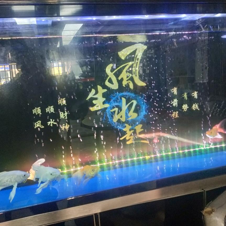 平安一生、先前走、不能停