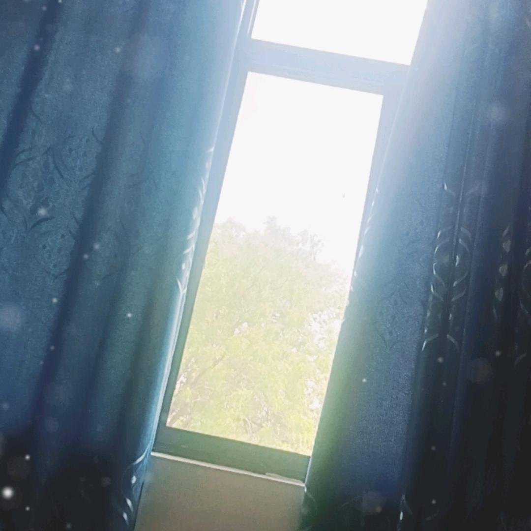 浯屿