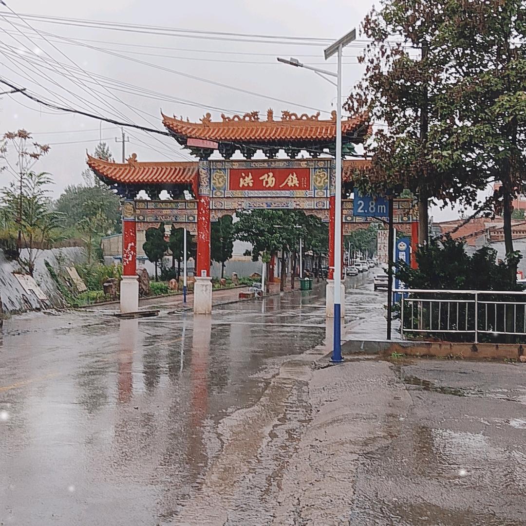 李伟子