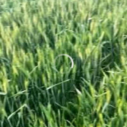 心情好一切都好