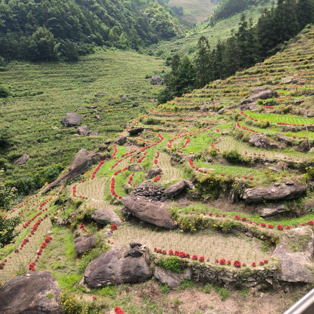 风雨彩虹