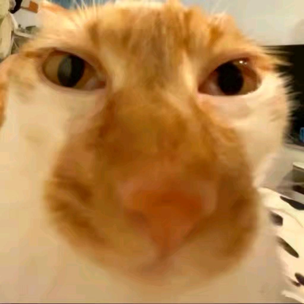 R.