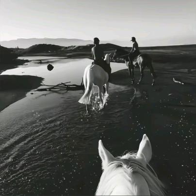 ㅤㅤㅤㅤㅤㅤㅤㅤ