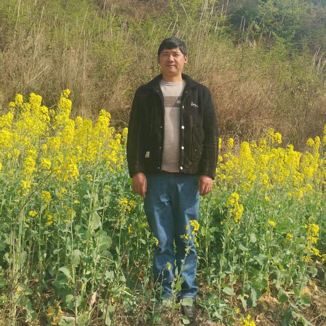 梦想成真