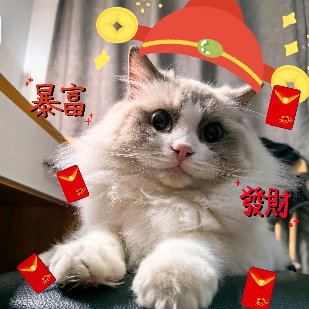 小汪小王和帮帮