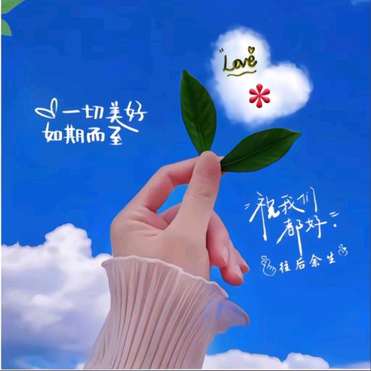 阳光🌻