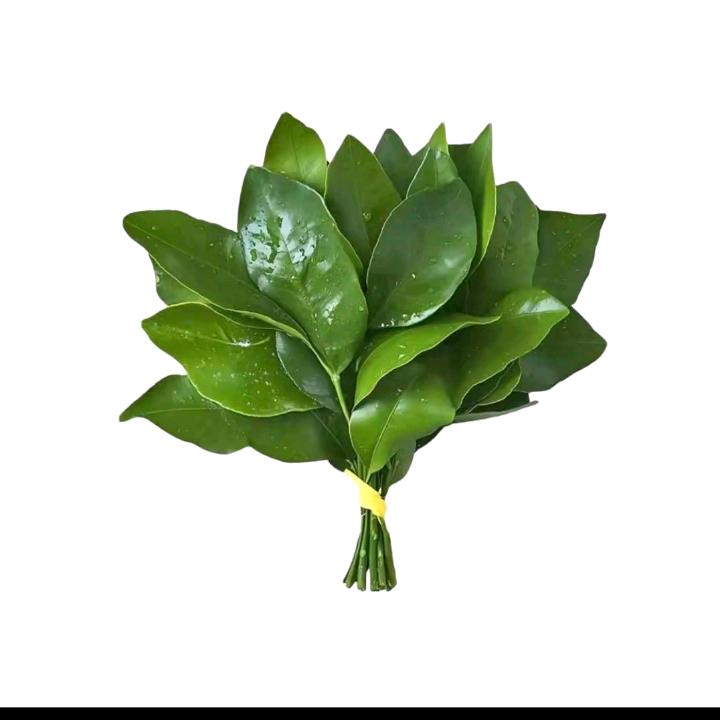 柠檬汽水🍋（涨粉中）