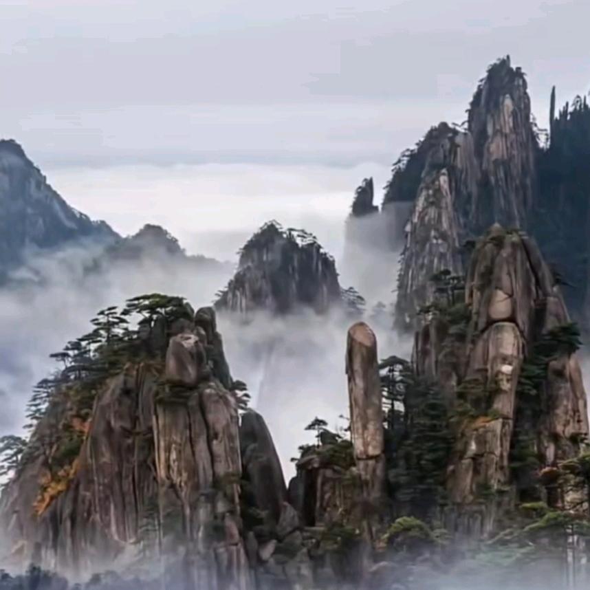 桐梓晴岚