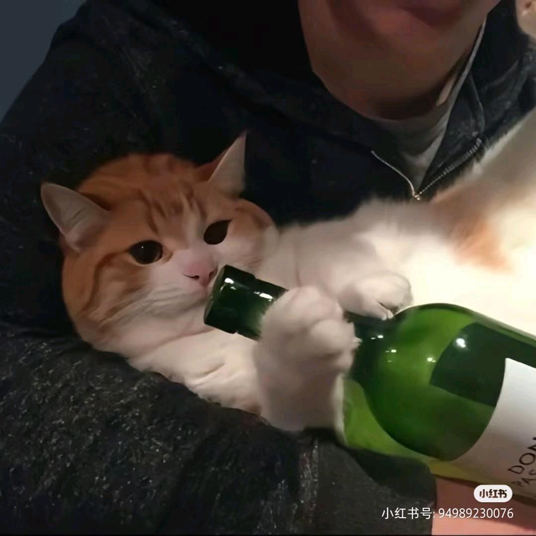 如何教兄弟倒车入库