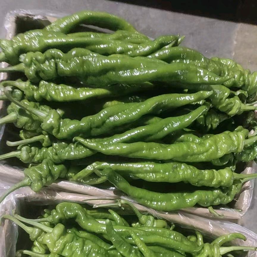 蔬果同城汇