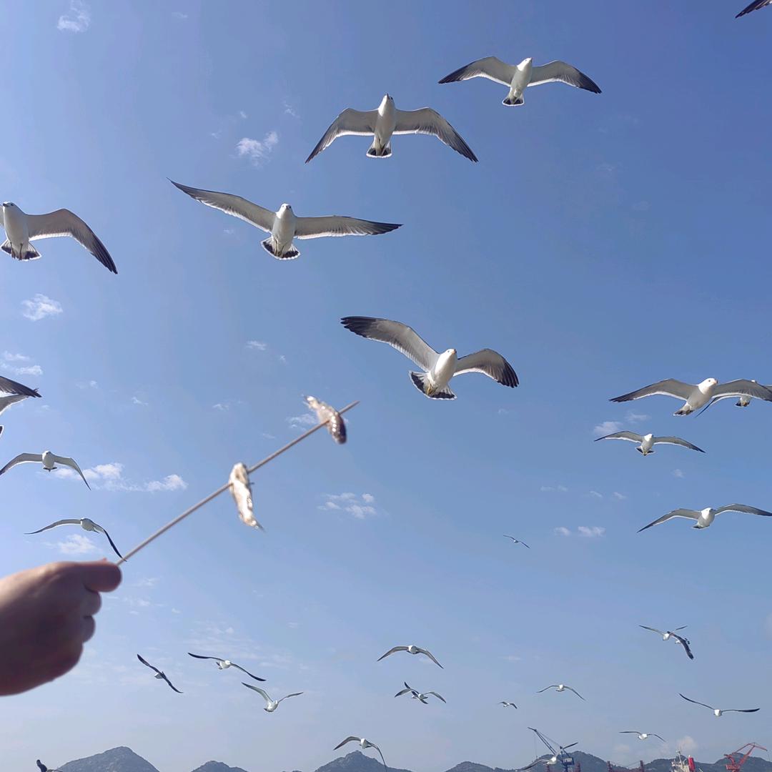 是金鑫