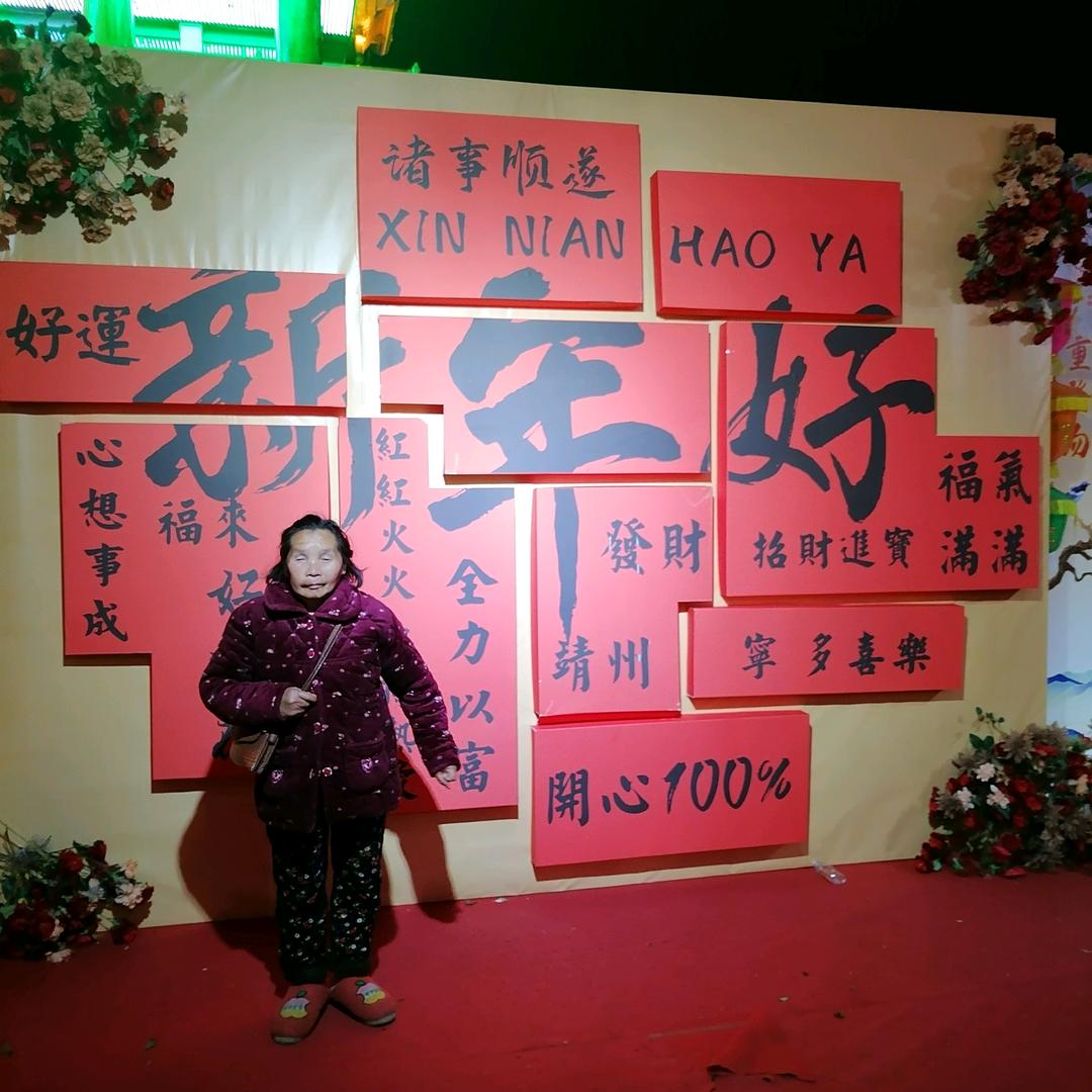 愿杨花一世开