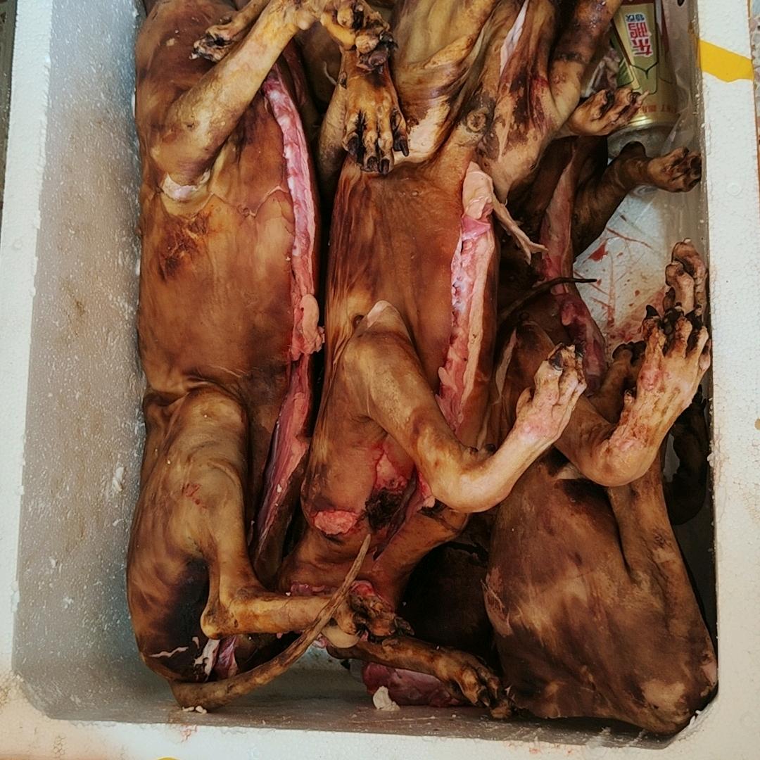 彩塘东里贵州粉店土特产