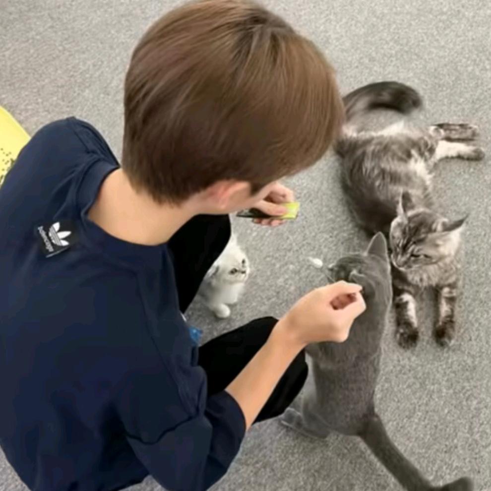 渊·