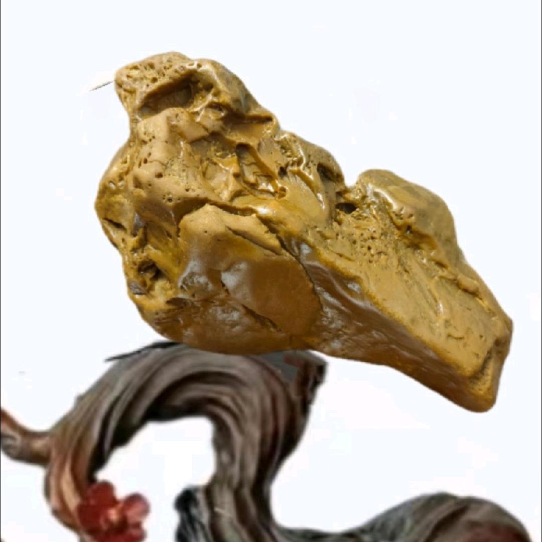 彩石缘，奇石，美食，钓鱼，，，