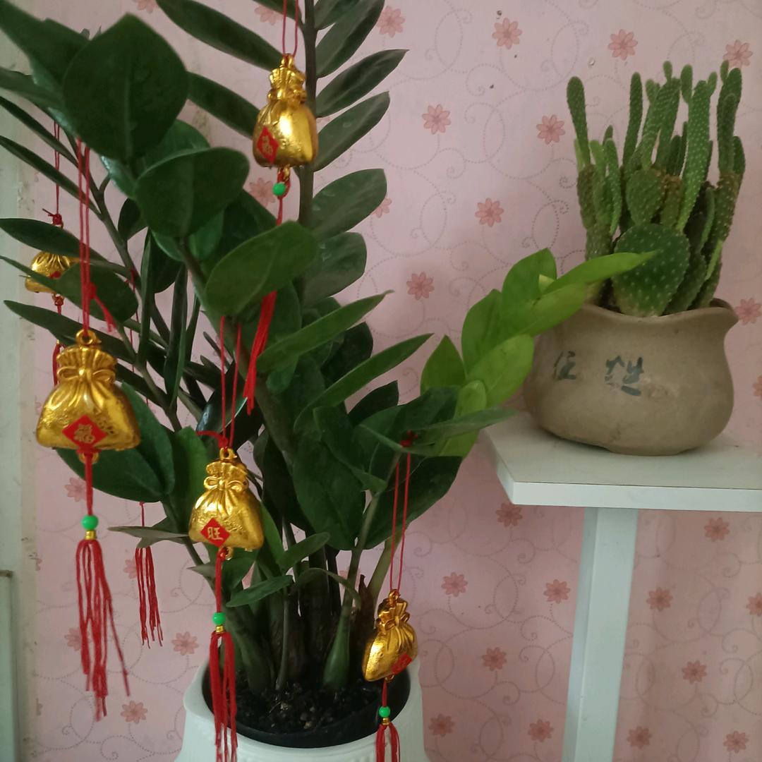冬天的雪