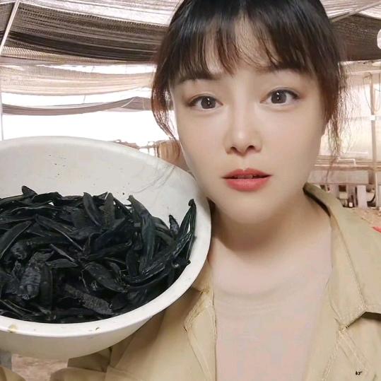 广西蚂蝗妹