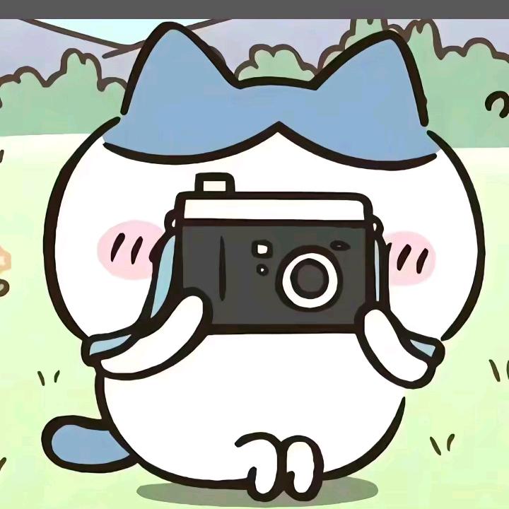 ^伤感猫猫^