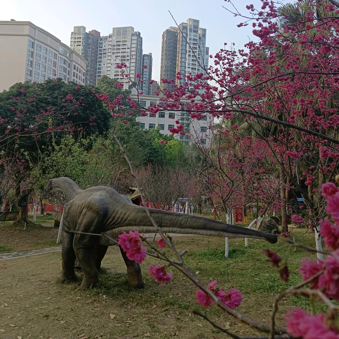求水山恐龙园（户外游玩）