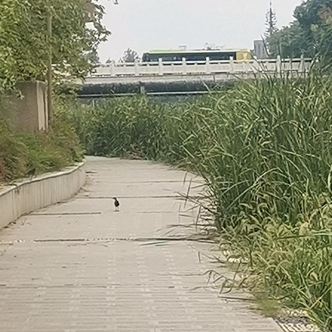 用户1981289695465