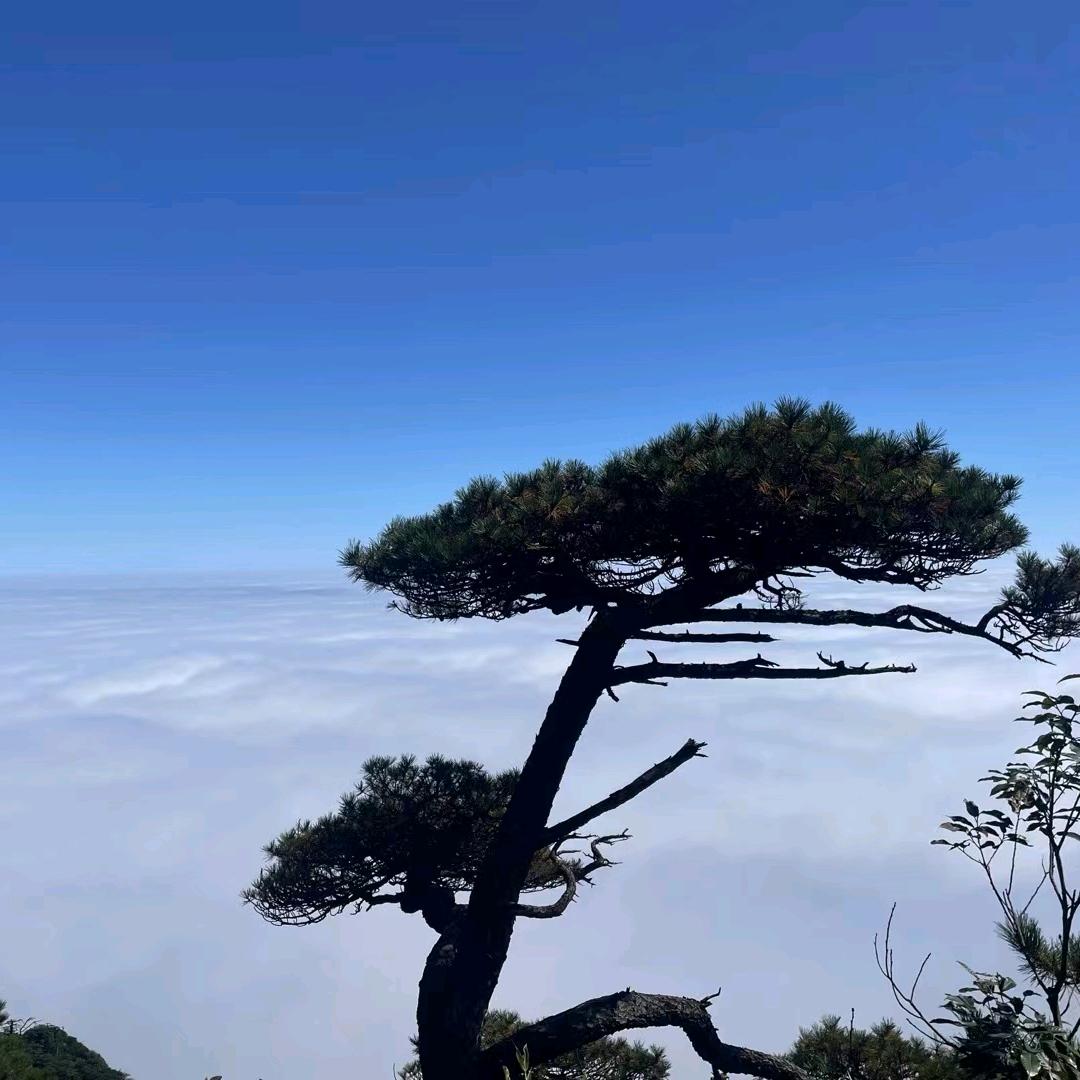 青上蓝天