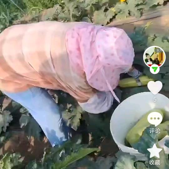 一家幸福，