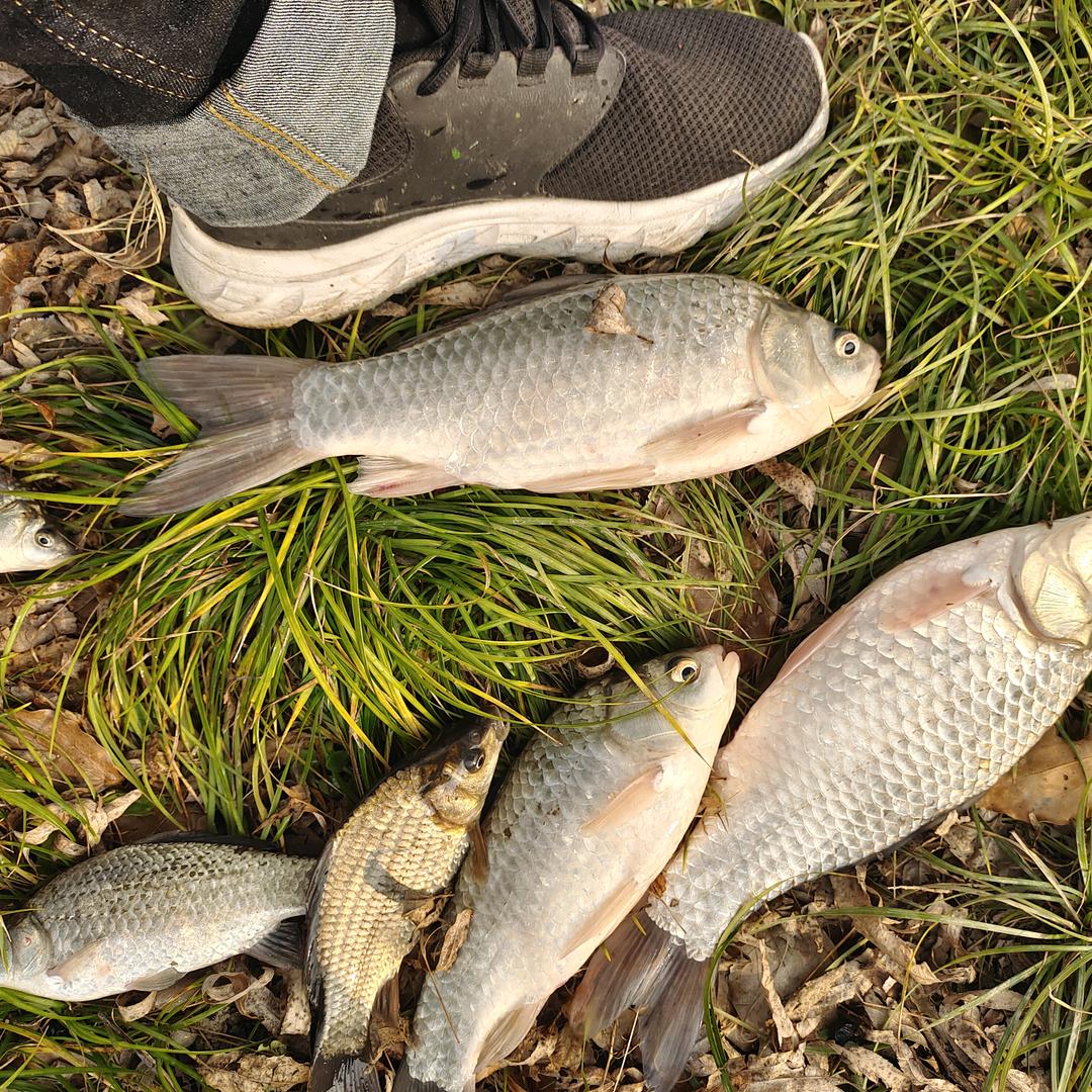 漂不动🎣我不动