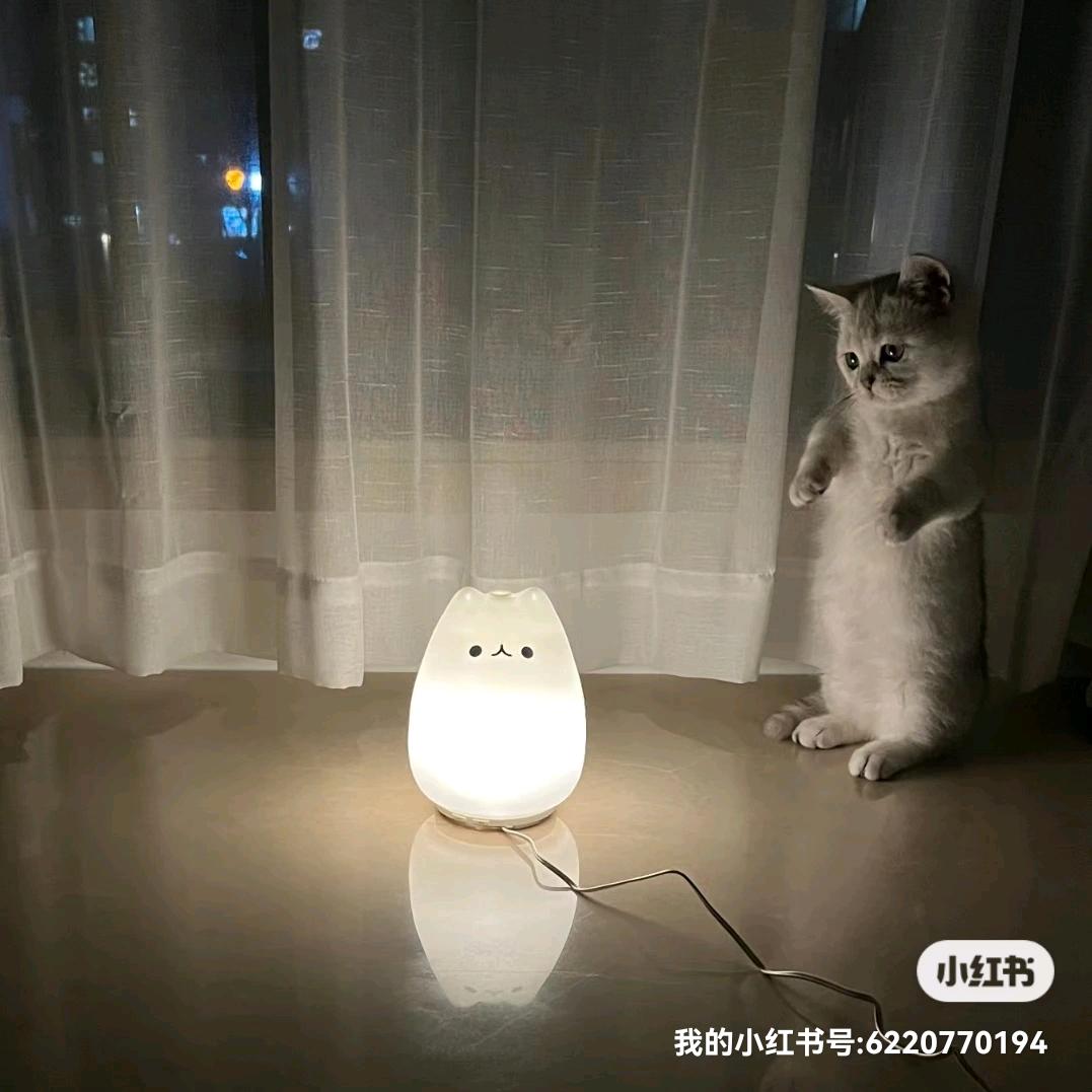 我叫王大锤