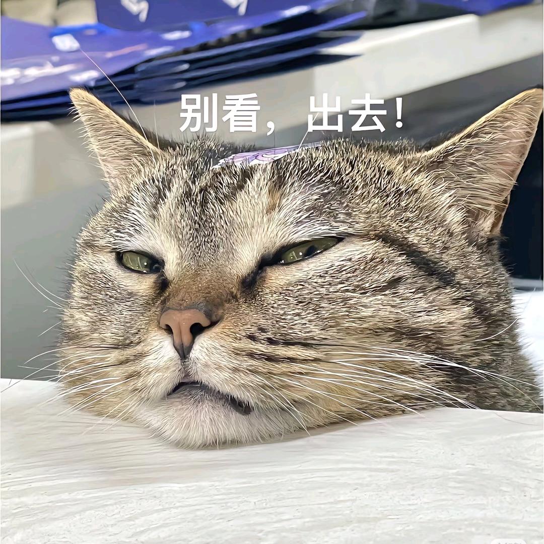 枲妃回宫