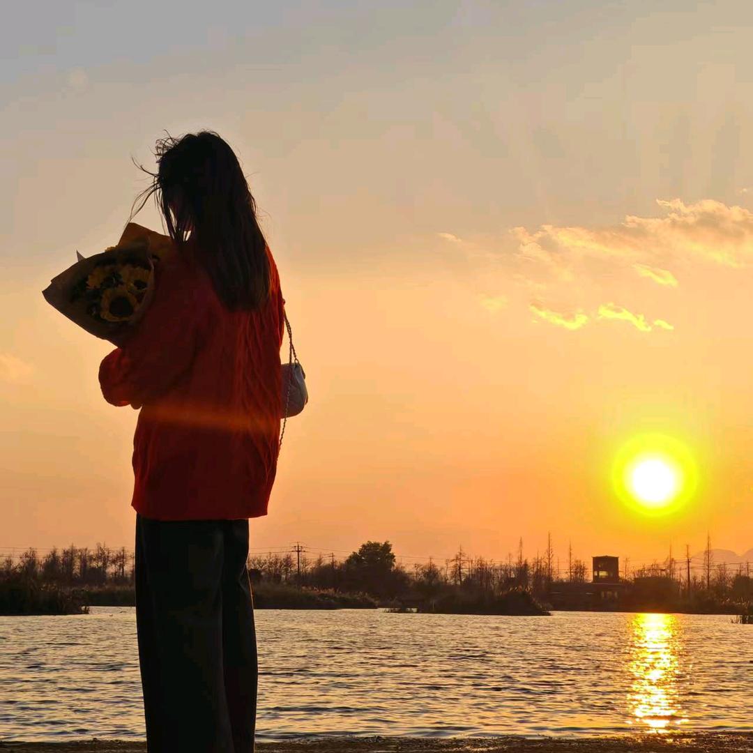 社恐的青蛙国王