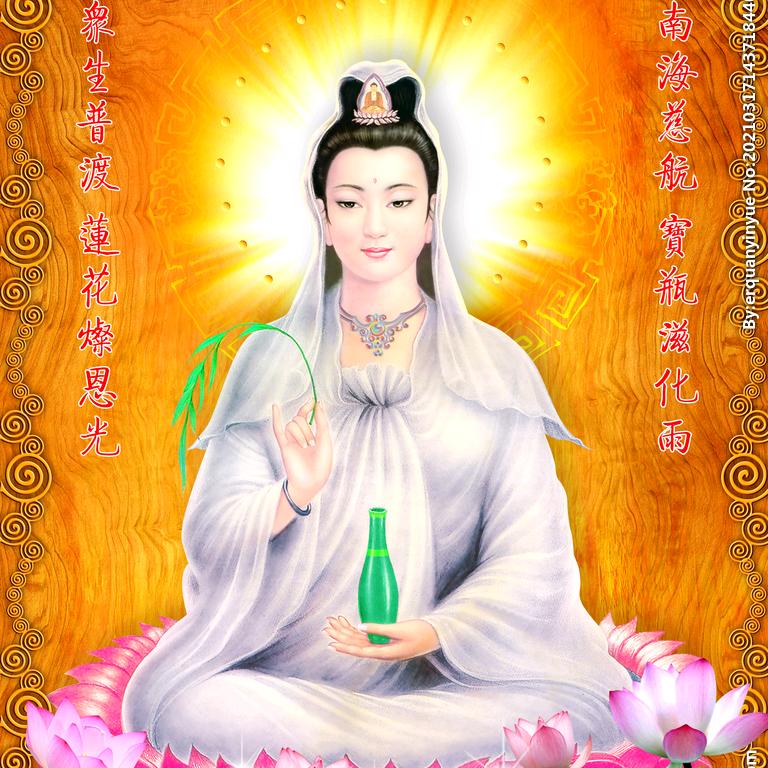 开心果果