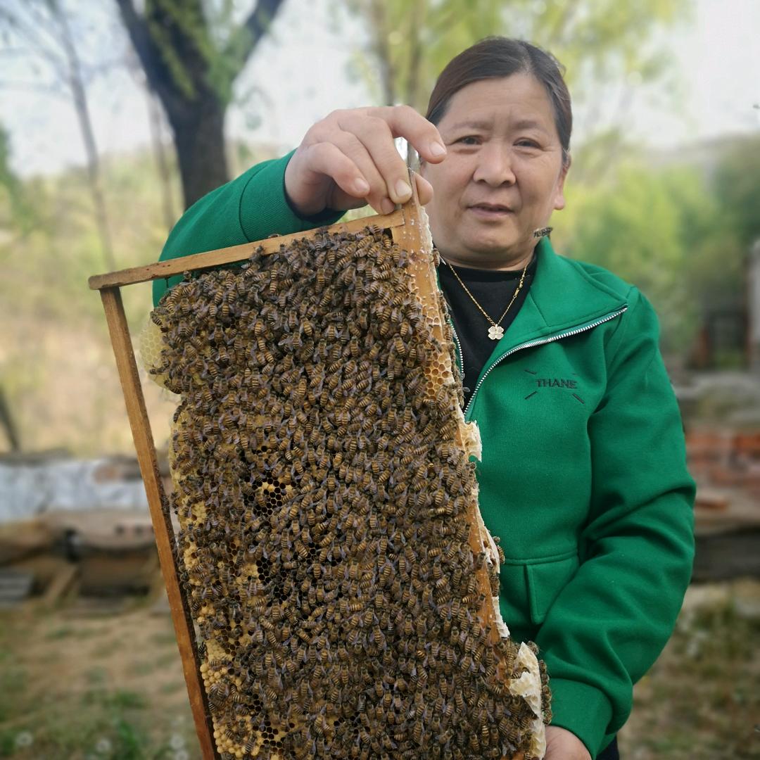 养蜂姐，中午十二点四十开播