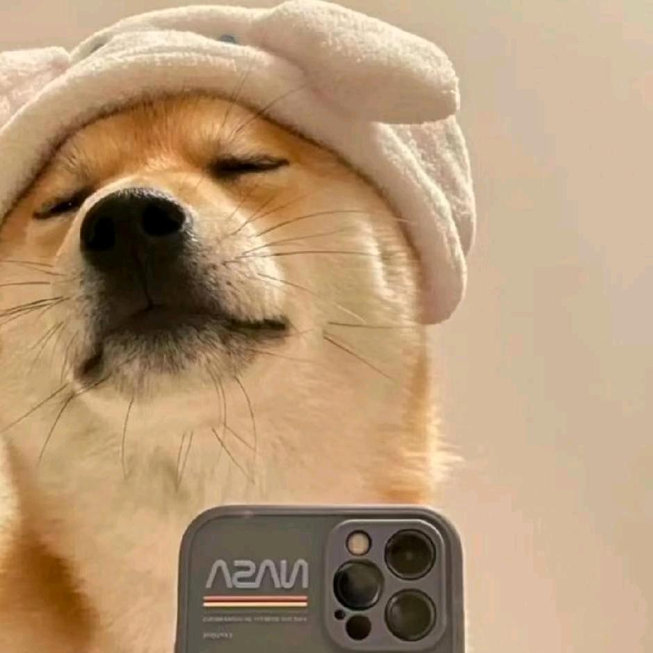 好不好喝