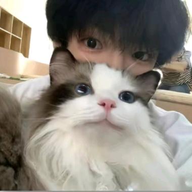 吃胖点