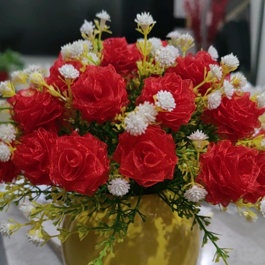 💦缺心眼的🌈提拉米苏👒