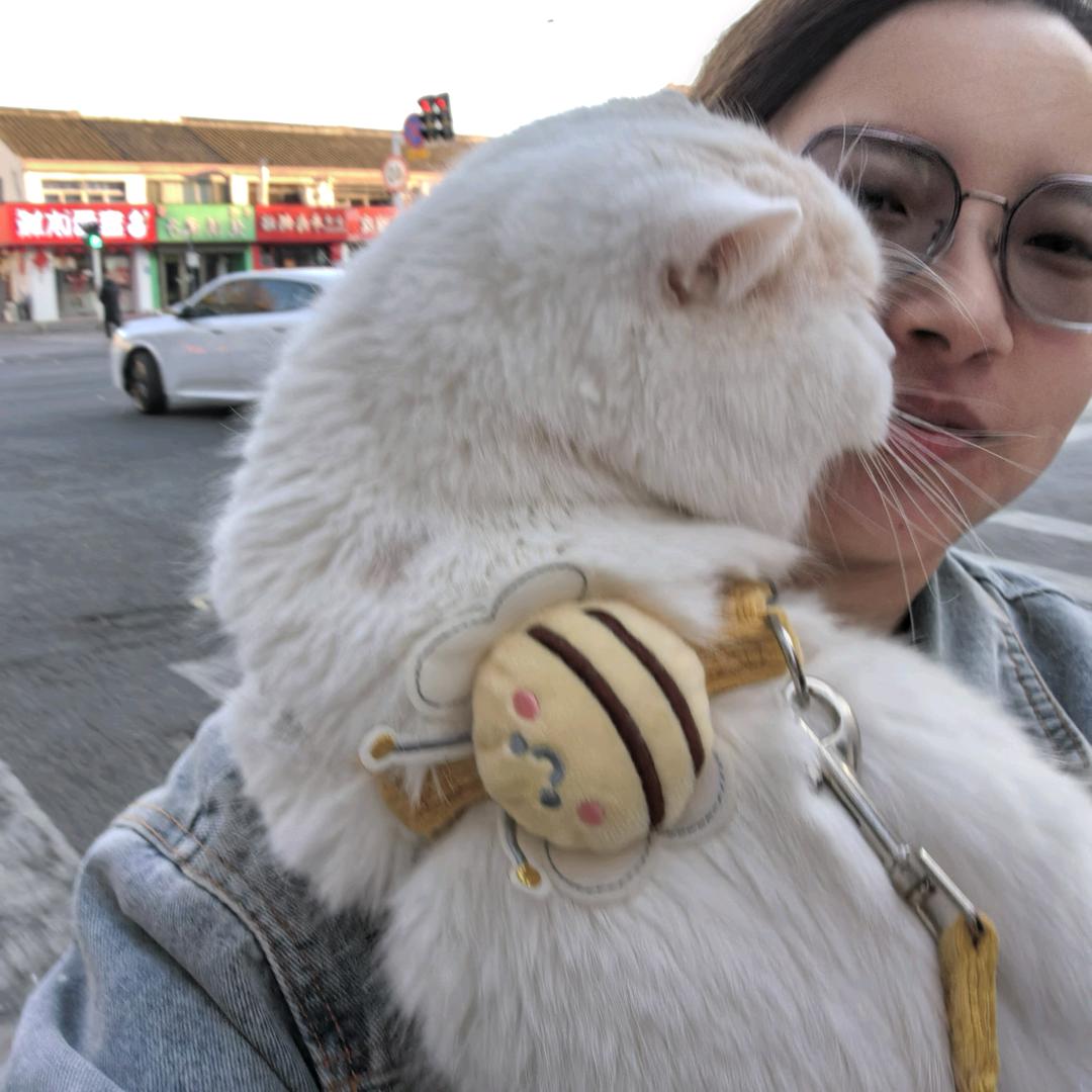 🐰