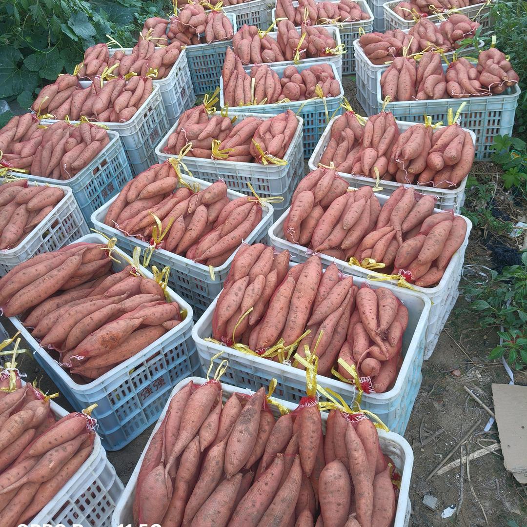 啊飞农家产品小店