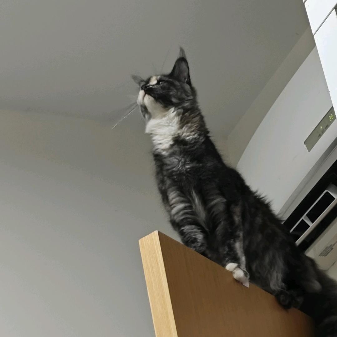 白米饭不爱吃饭