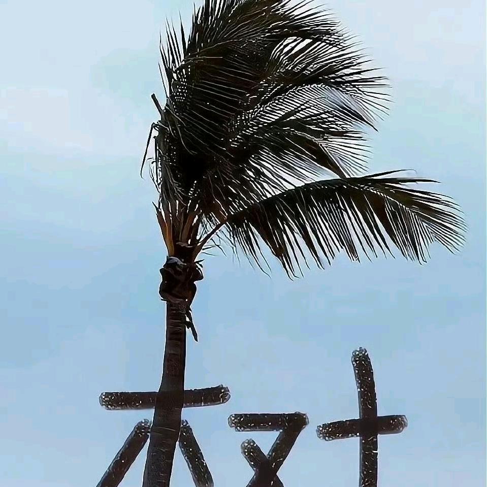 Hello|树先生～