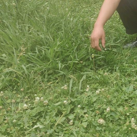 通讯录