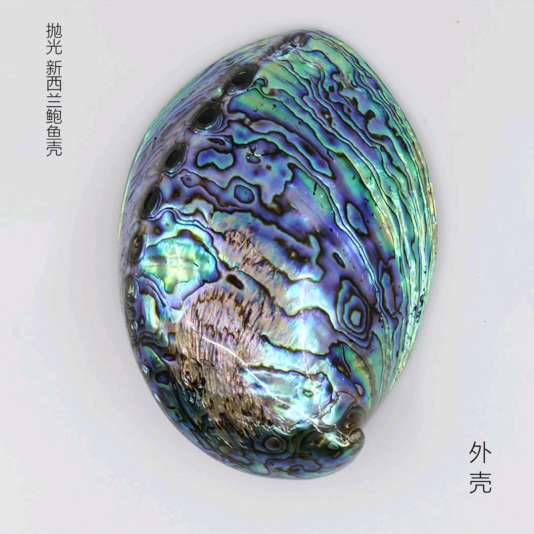 滴油，贝壳工艺！