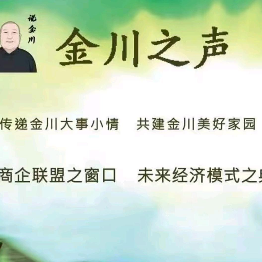 金川之声