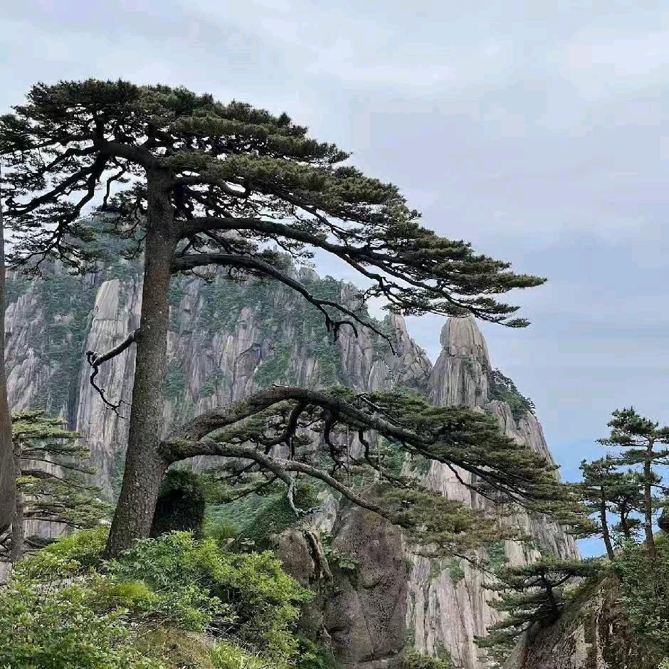 ღ᭄小幸运ღ᭄