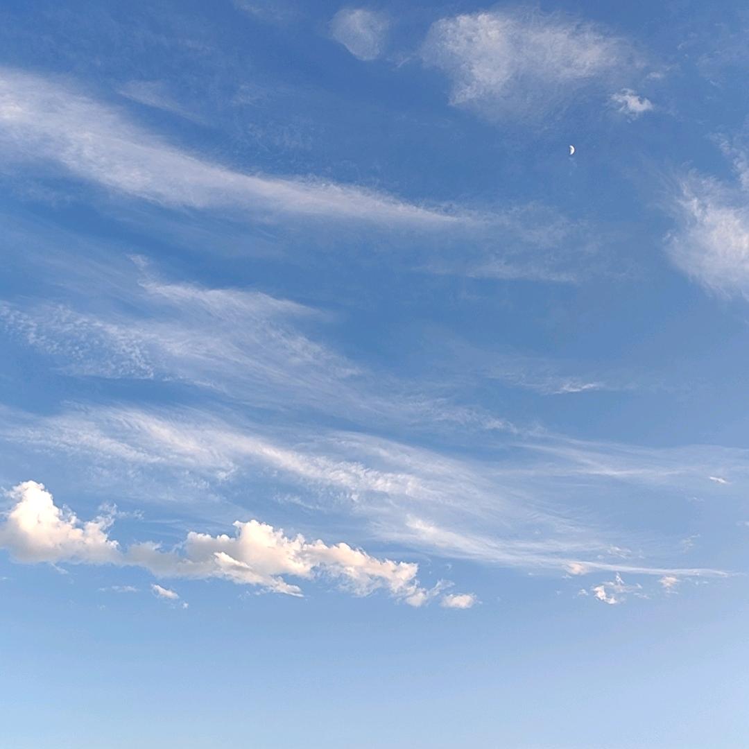许仙