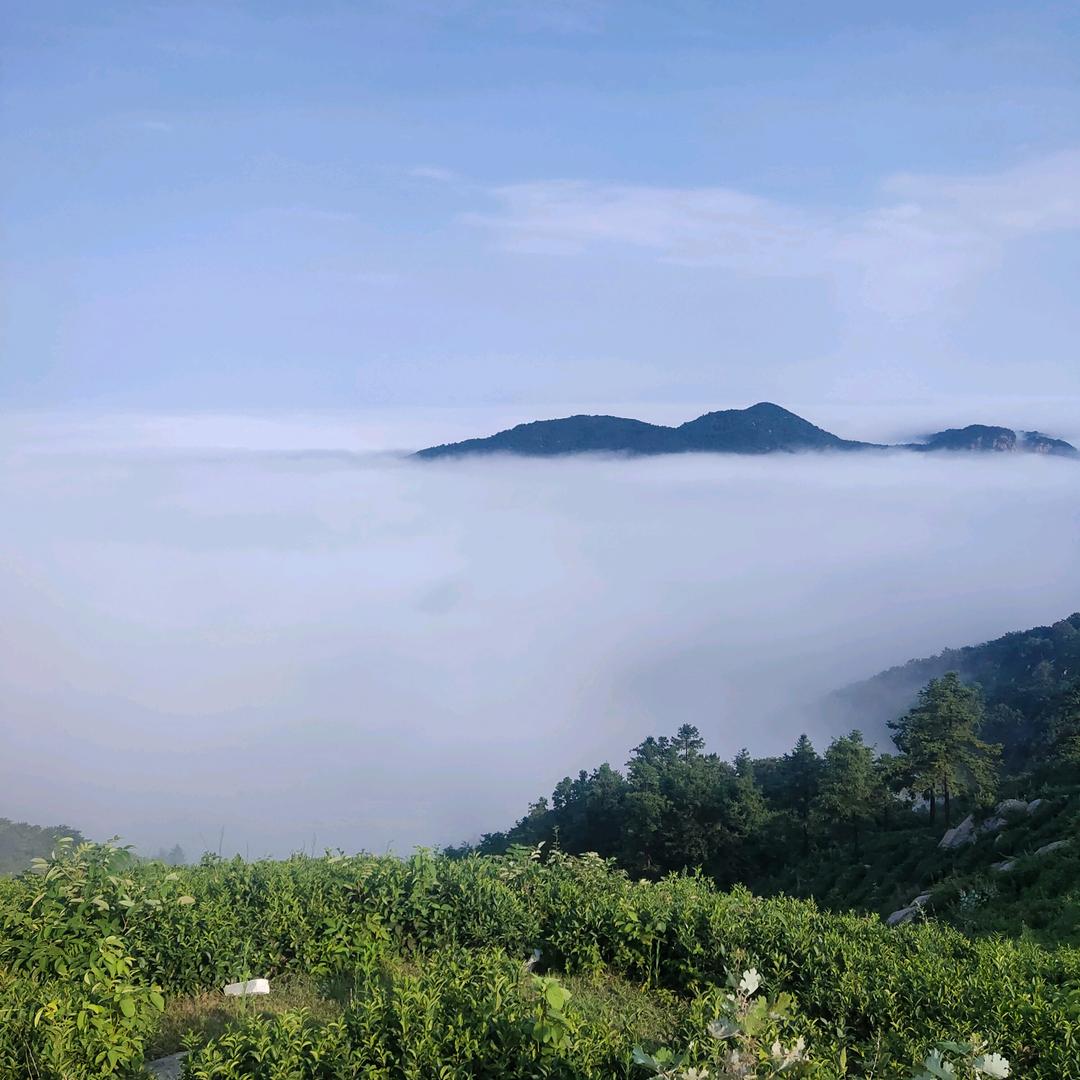 错在相信